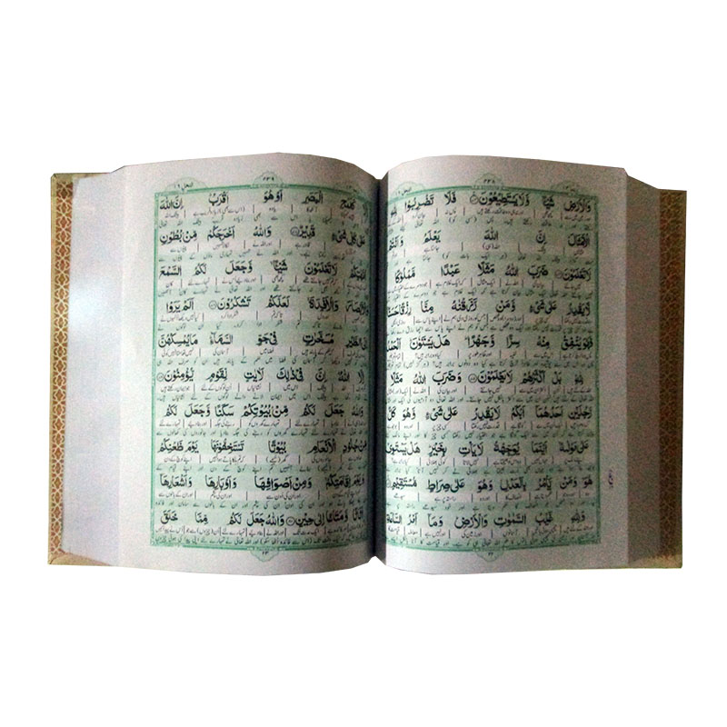 Taleem Ul Quran(Translation Urdu)2Clr