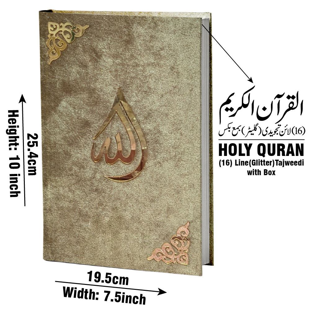 Holy Quran 4Clr (Tajweedi 16 Line Hafizi) Gold Velvet With Box 